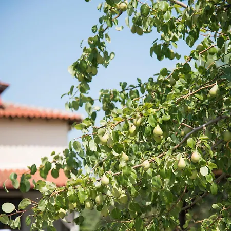 Kritamo On Trani Ammouda Vakantiehuis