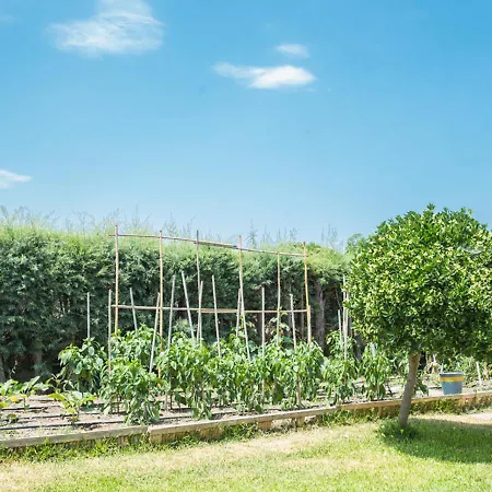 Kritamo On Trani Ammouda Tatil Evi Ayos Nikolaos
